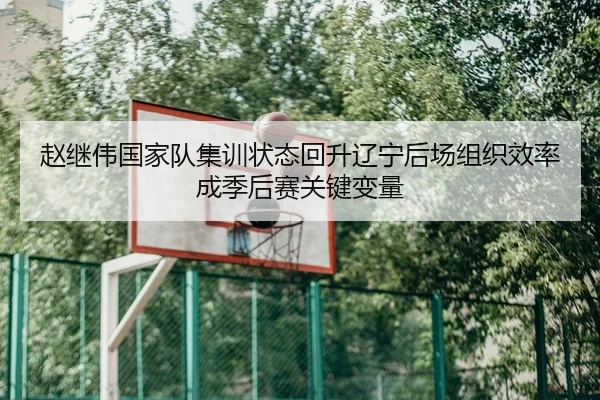 赵继伟国家队集训状态回升辽宁后场组织效率成季后赛关键变量